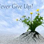 never give up