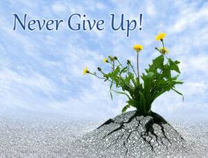 never give up