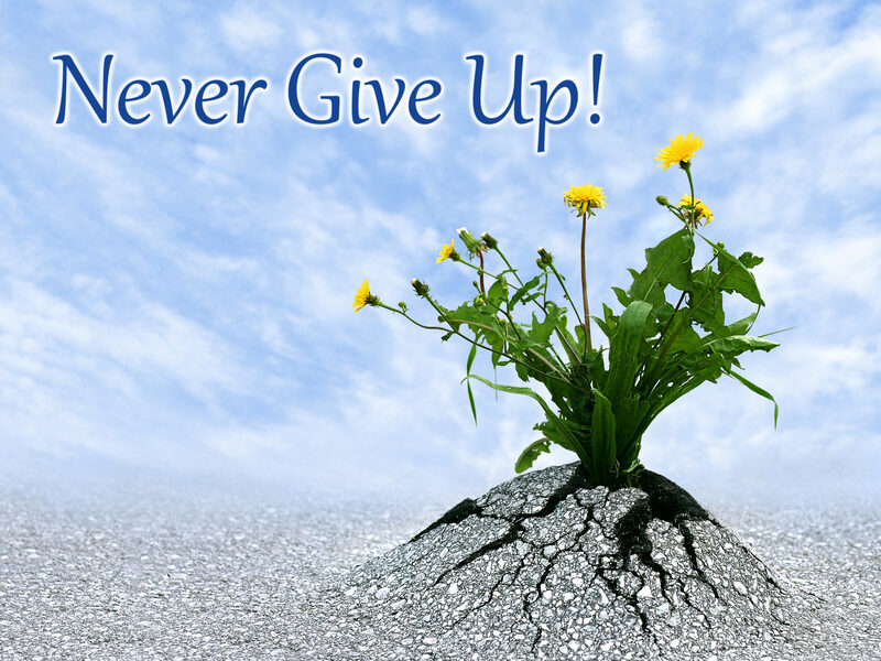 never give up