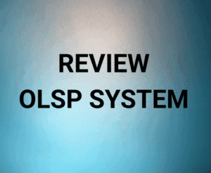Review OLSP System